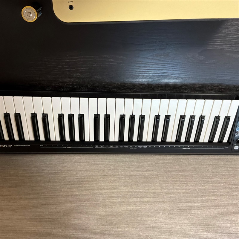 Roland A-49の画像